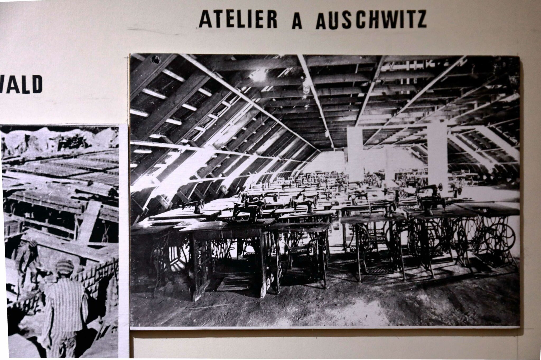 MUSEE_20180922_IMG_3262 _WEB